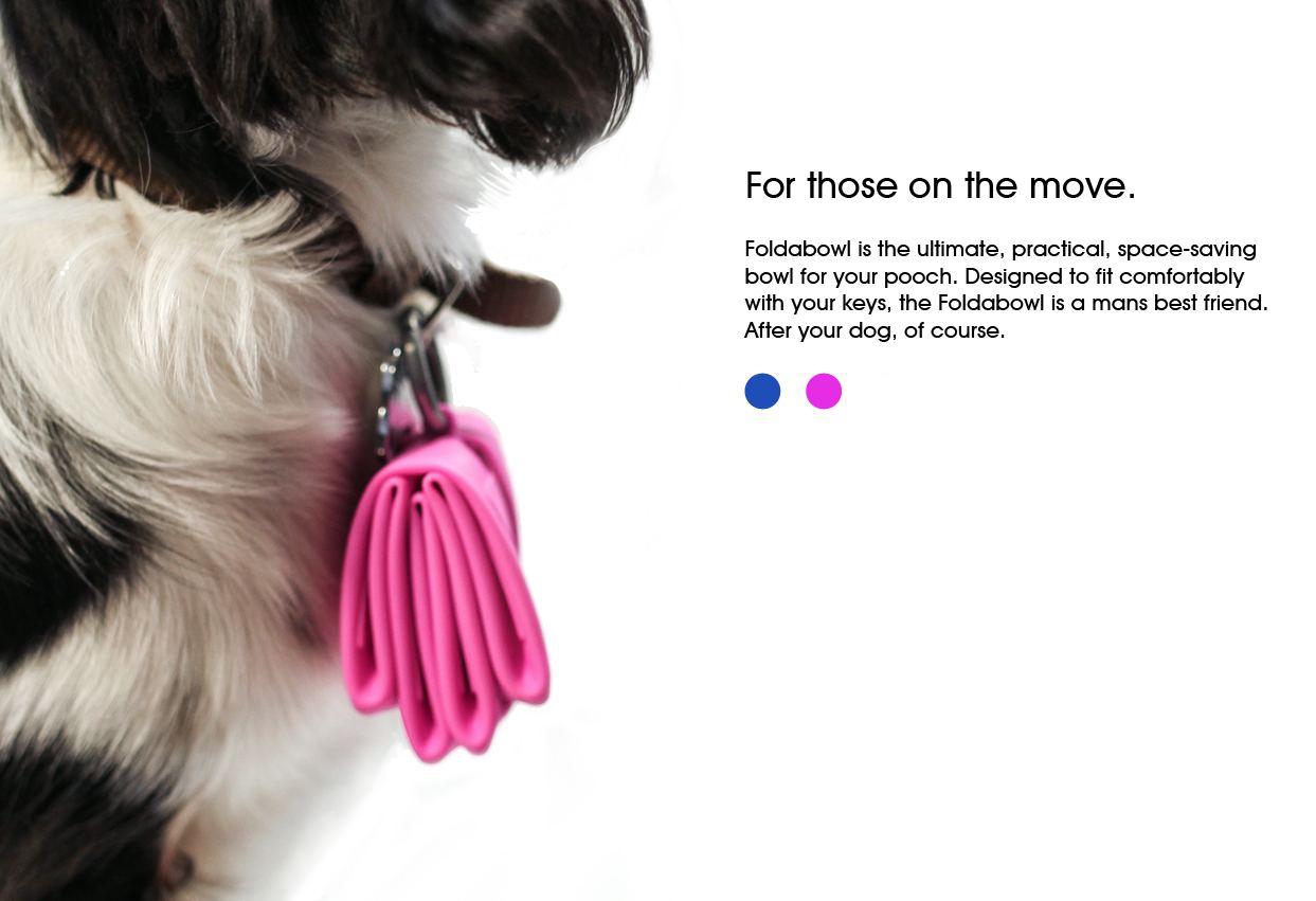 Foldabowl in pink on dog collar